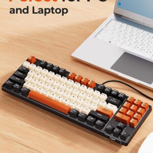 Havit Mechanical Keyboard Review