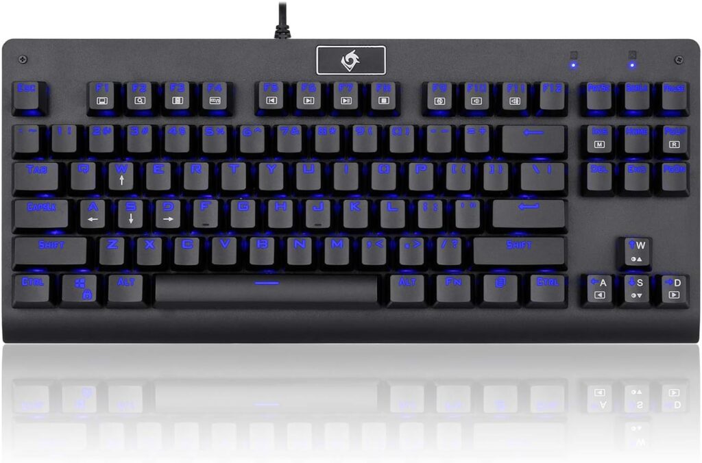 EagleTec KG040 Mechanical Gaming Keyboard Blue LED RGB Backlit Wired with Clicky Blue Switches Equivalent Compact Tenkeyless with 87 Keys for Windows PC (Black)